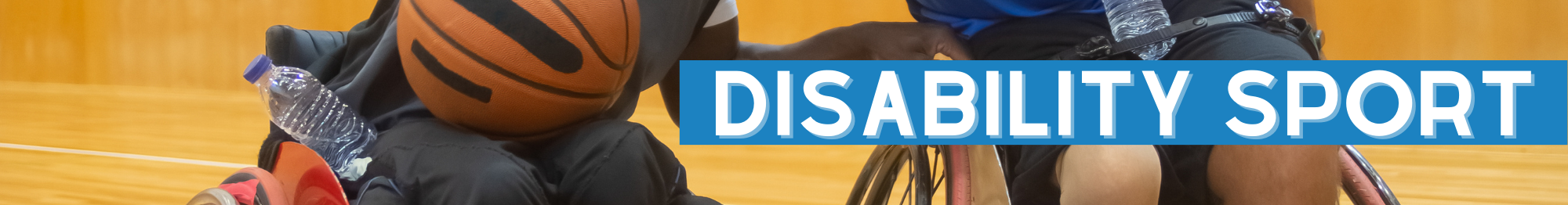 Disability Sport25