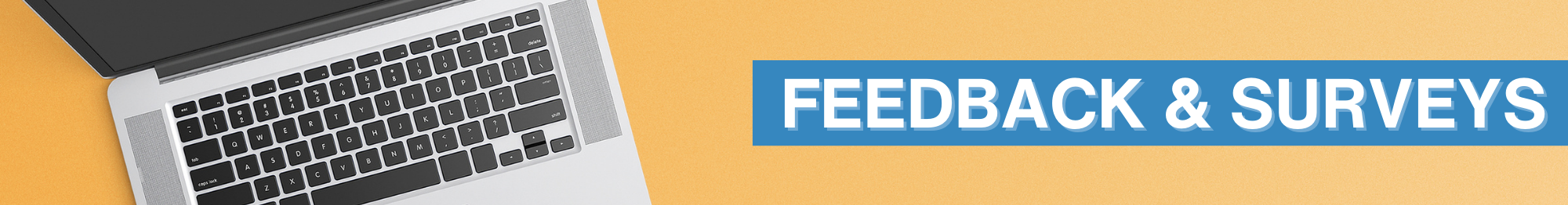 Feedback Surveys Home Page Icon