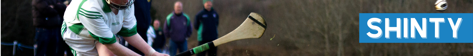 Shinty5