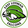 EL Falcons badge
