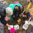 FAMILY ROCKPOOLING