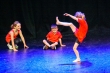 Showcase 2013 006