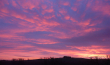 Sunrise AM