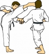 Taekwondo6