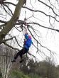 Tree climbing2