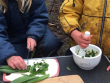 chopping+wildgarlic3