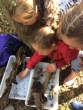 erinj minibeasts