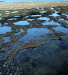 fossil beds4 edited 5