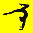 gymnastics 2
