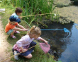 pond dipping