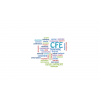 CFE wordle79