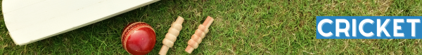 Cricket6