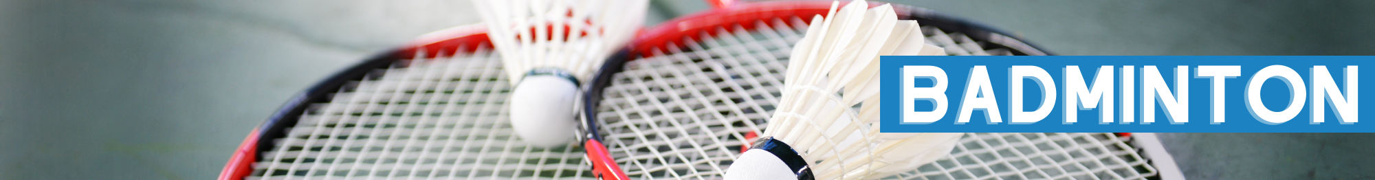 badminton31