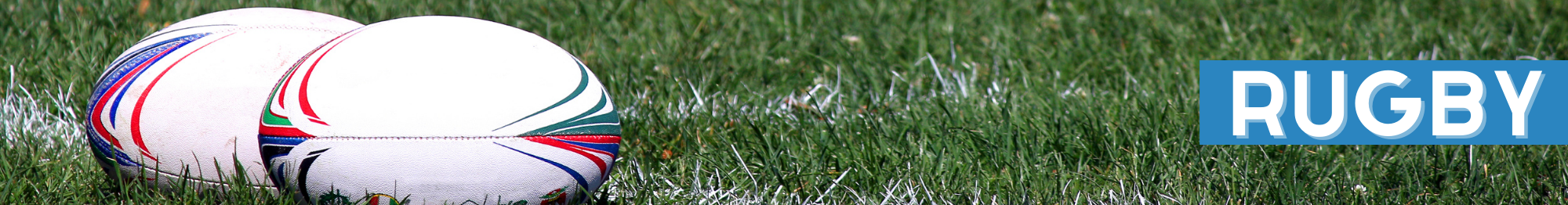 rugby15